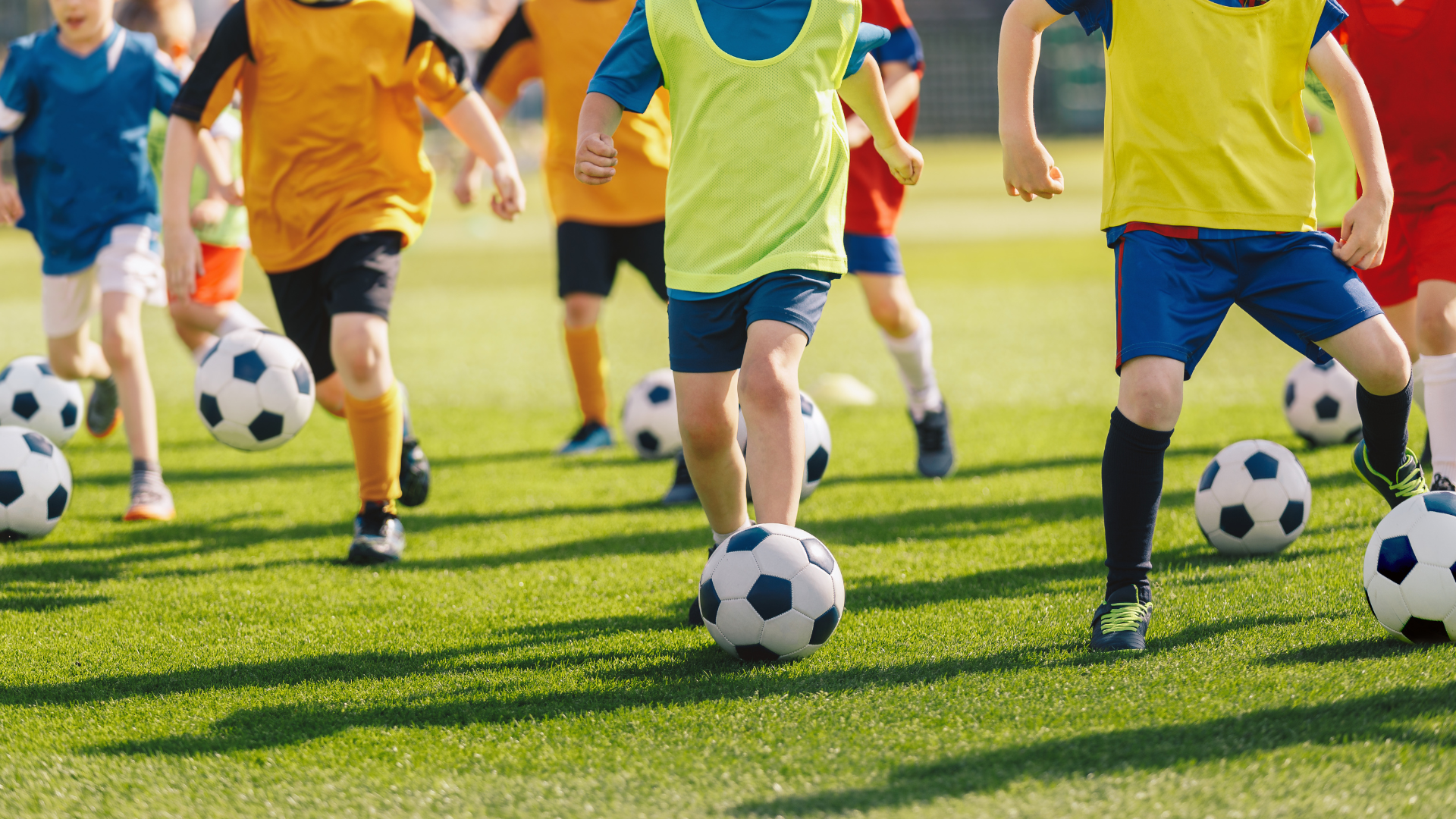 Scuola Calcio a 5